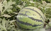 《罪孽者（zhě）》口碑票房雙豐收 導演（yǎn）寫信感謝觀眾