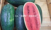 《從“聖娼女”到勵誌傳奇：揭秘娛樂圈背後的正能量故事（shì）》