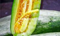 《小學生就該懂的日子中的經濟學》｜每日一書 — 新京報