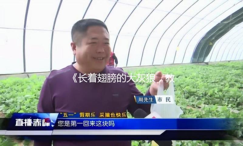 《长着翅膀的大灰狼,教你如何在吃瓜娱乐中找到快乐与启发》