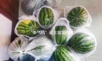“爭氣機”誕生背麵的故事 紀錄片《殲