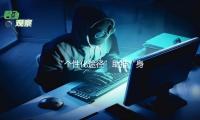 “個性化途徑”助推“身手擴容”