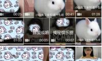 “擄愛成（chéng）婚：揭秘娛樂圈幸福情（qíng）侶的甜（tián）蜜日（rì）常”