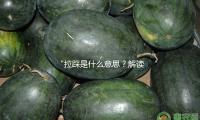 “拉踩（cǎi）是什麽意思？解讀（dú）娛樂圈吃瓜風潮，分享正能量故事”