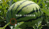 “賈永捷（jié）：從吃瓜娛樂看積極生活態度（dù），激勵我們追夢前行”