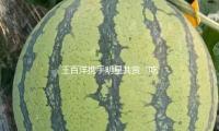 王百洋攜手明星共（gòng）賞（shǎng）“吃瓜娛樂（lè）”，傳遞正能量與快（kuài）樂生活的魅力