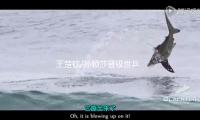 王楚欽/孫穎（yǐng）莎晉級世乒賽混雙16強 — 新（xīn）京報
