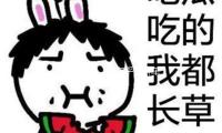 特朗普稱“不在乎”轎車製造商（shāng）因關（guān）稅提價 — 新（xīn）京報