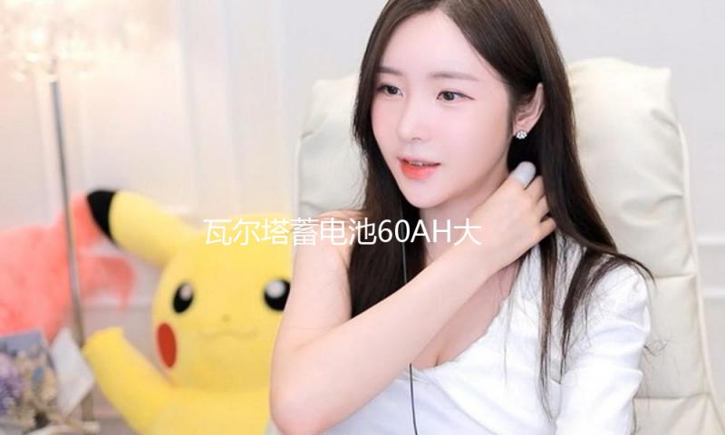 瓦尔塔蓄电池60AH大众朗逸速腾捷达途观夏朗POLO迈腾原装汽车电瓶
