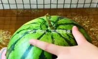 美防長烘托“我國軍事要（yào）挾” 國（guó）防部批駁 — 新京報