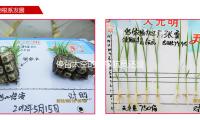停留太空的美宇航（háng）員還沒拿到加班費？特朗普：如有需求，我會自掏腰（yāo）包