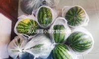 友（yǒu）人曝汪（wāng）小菲憂鬱症躁鬱症複發 身心處於潰散狀（zhuàng）況