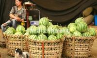 北影雙料主力饒嘉迪北電結業 多（duō）部待播劇引等待