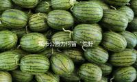 城市公園為何留“荒野”