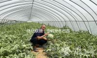 體壇聯播｜安帥發布巴西隊大名單，C羅連（lián）任（rèn）沙特（tè）聯賽金靴