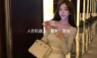 人（rén）形機器人（rén）“著（zhe）急”落地 使用（yòng）方卻喊話“先理清市場需求 警覺‘技能泡沫’”