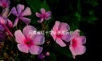 雲南省紅十字（zì）會原副會長田華兵主動投案，接受審查調查