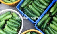 情感（gǎn）療愈是時代劇佳（jiā）作迭出的中心競（jìng）爭力