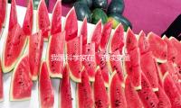我國科學家在“連續變量”集成光（guāng）量子芯片範疇完成新打破