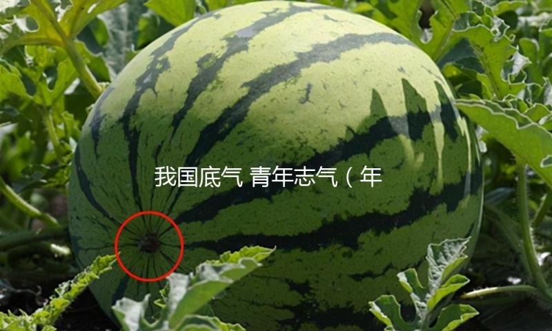 我国底气 青年志气（年代之问 芳华作答）
