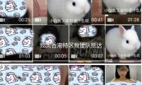 我國香港特區救援隊抵（dǐ）達緬甸 — 新京報
