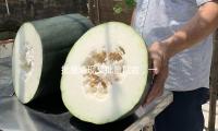 批量湧現又批量沉寂，一些“古城古鎮”為何潛力乏力？