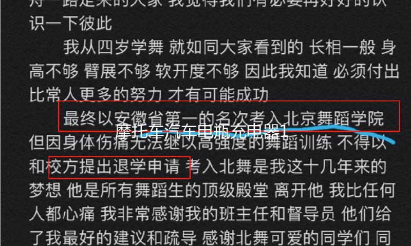 摩托车汽车电瓶充电器12v24v伏全智能自动大功率蓄电池纯铜充电机