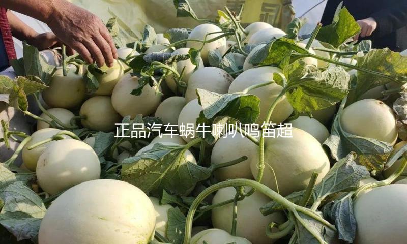 正品汽车蜗牛喇叭鸣笛超响防水12v通用高低双音响亮喇叭无损安装