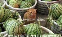 大標準電影引薦，部部都是經典，值得你熬夜觀（guān）看！