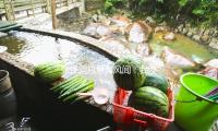 張譯回應息影風聞：我沒說不幹活啊！