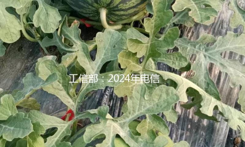 工信部：2024年电信业务收入累计超1.7万亿元 — 新京报