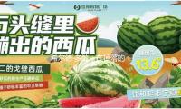 希爾德·多敏：在掉落的邊（biān）際，走向奇觀與家鄉 — 新京報