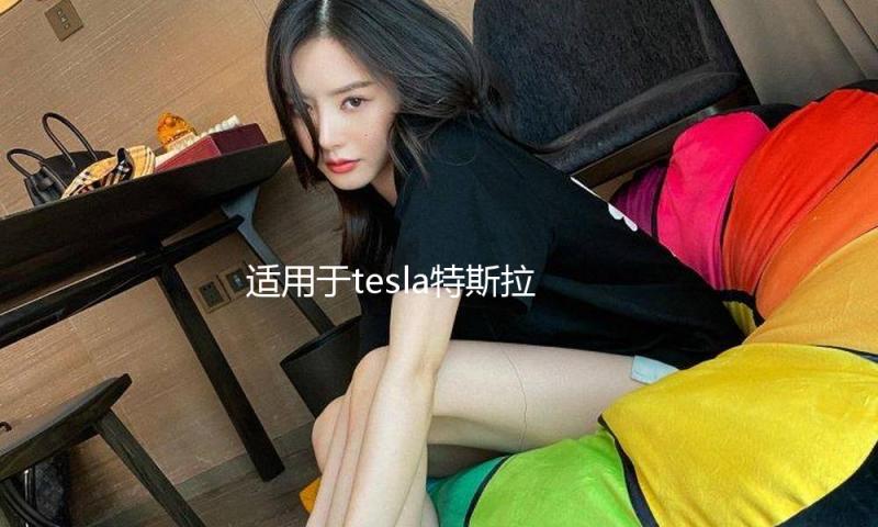 适用于tesla特斯拉model3Y坐垫三件套带透气孔座垫座椅套改装配件