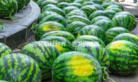 閃爍掛鍾界：香（xiāng）港機械表品牌天銘