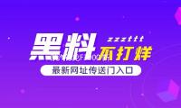 陝汽德龍F3000 新M3000 X3000 L3000大貨車專用汽車吹塵槍吹氣槍
