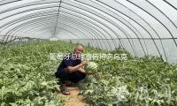 葡萄牙總理宣告將向（xiàng）烏克蘭供給2.05億歐元（yuán）軍事（shì）援助