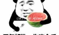 訂親了？鏡報：哈蘭德女友伊莎貝爾外出時無（wú）名指戴著戒指