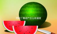 西藏丁青縣（xiàn）產（chǎn）生山體滑坡形成3人（rén）罹難7人（rén）失聯，還有2人受傷 — 新京報