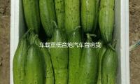 車載重低音炮汽（qì）車音響貨車12v24v220v家用無線（xiàn）藍牙音箱電腦小鋼炮