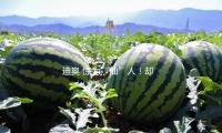 迪奧 驚（jīng）為“仙”人！卻被詬病“華倫天（tiān）奴似的” Dior史上首位（wèi）女性創意總監正式卸任，網友：喜大普奔？