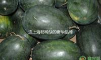 連上海都稀缺的奢華品牌，果然是“時裝山人”