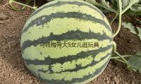 馬筱梅帶大S女兒逛（guàng）玩具店，小玥（yuè）兒側顏冷（lěng）豔背不駝了，一下自傲！