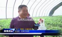馬（mǎ）來西亞姑娘的新疆“慢”日子