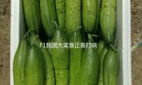 F1我國大（dà）獎（jiǎng）賽正賽打響，皮亞斯（sī）特裏初次捧起冠軍獎杯