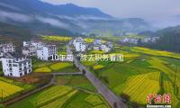 10年前“辭去職務（wù）看國際”女教師，現在過得怎樣？初次回應“離婚負債60萬”