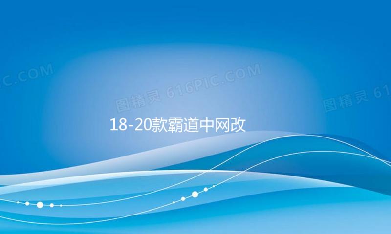 18-20款霸道中网改装 普拉多中网饰条 亮条装饰配件彩条专用